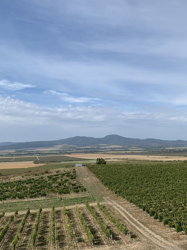 🍇 Tokaj: Land of Legendary Wine
