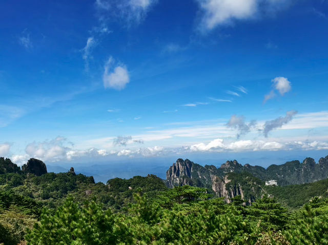 Mountain Mist Views⛰️