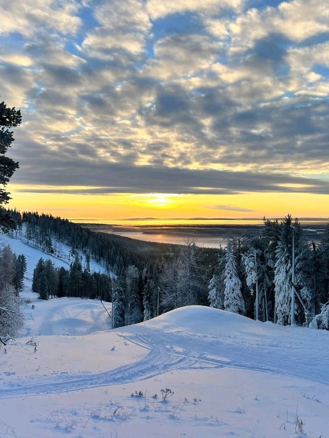 Snowy Forest Dream🌲 Snowy Forest Dream🌲