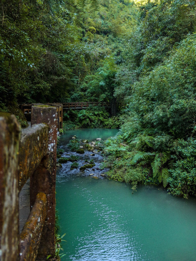Wulong Karst - природный парк в пределах Чунцина🌿 Wulong Karst - природный парк в пределах Чунцина🌿