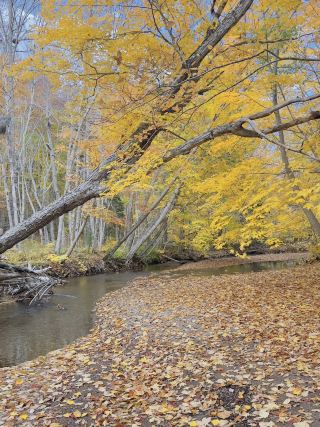 🍁 Cape Breton Island – Autumn Splendor 🍁