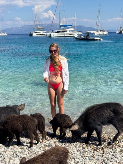 Discover the Greek Island Where Wild Boars Rule the Beach 🐗