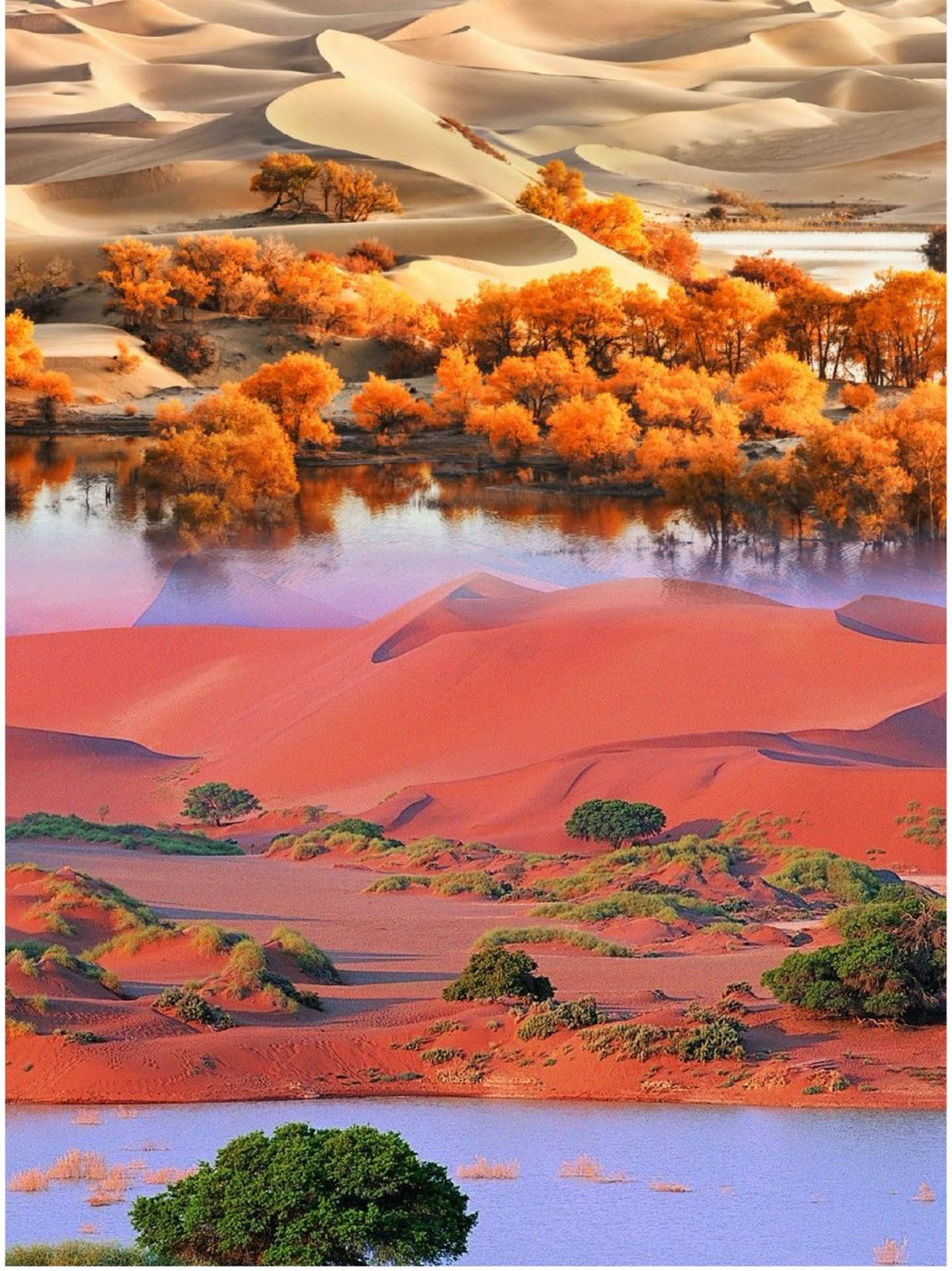 The Taklamakan Desert — The most Unique desert on earth 🏜️ 🌏 🇨🇳 