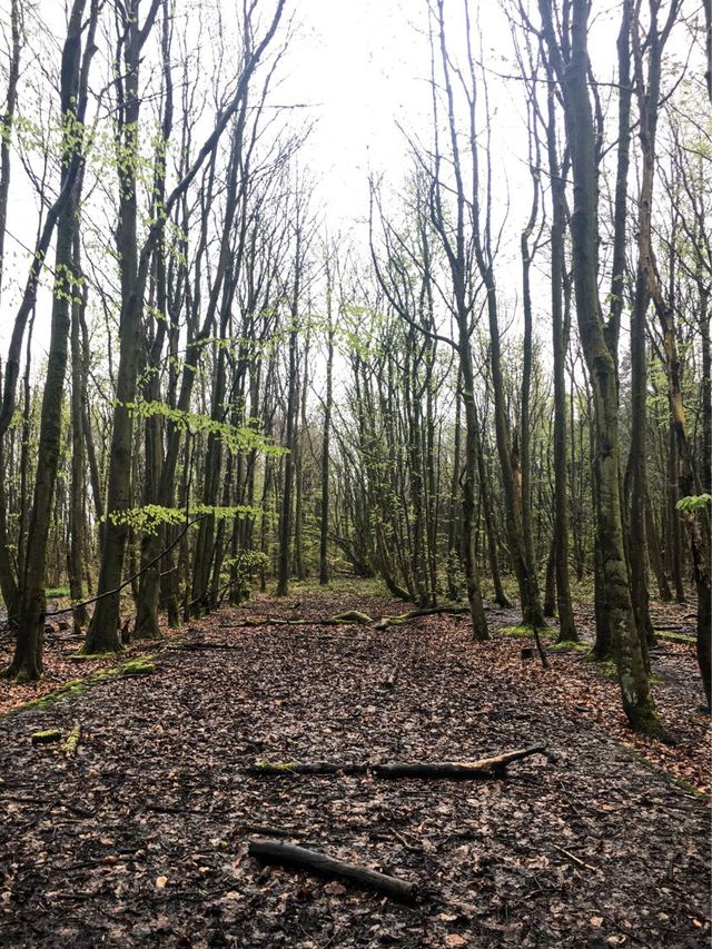 Lodge Moor - WWII POW Camp