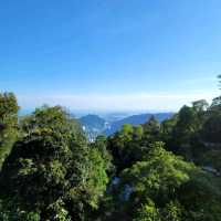 A Forest Adventure: The Habitat at Penang Hill 🌳🐦🌺