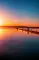 orvillea_0821