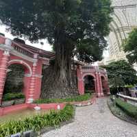 打卡澳門加思欄花園
