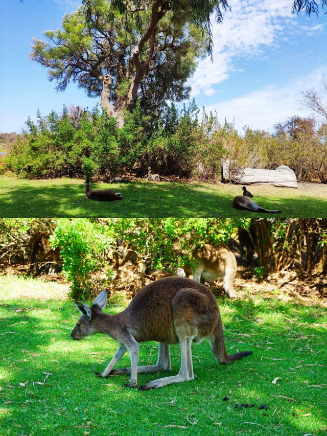 Australia | Must-visit attractions and guide to exploring South Australia