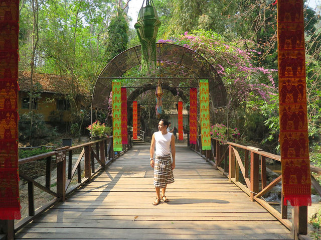 Misha Elephant Camp