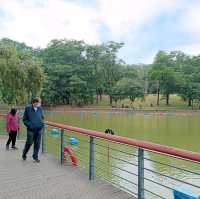 Man-made lake in the heart of the city 💜