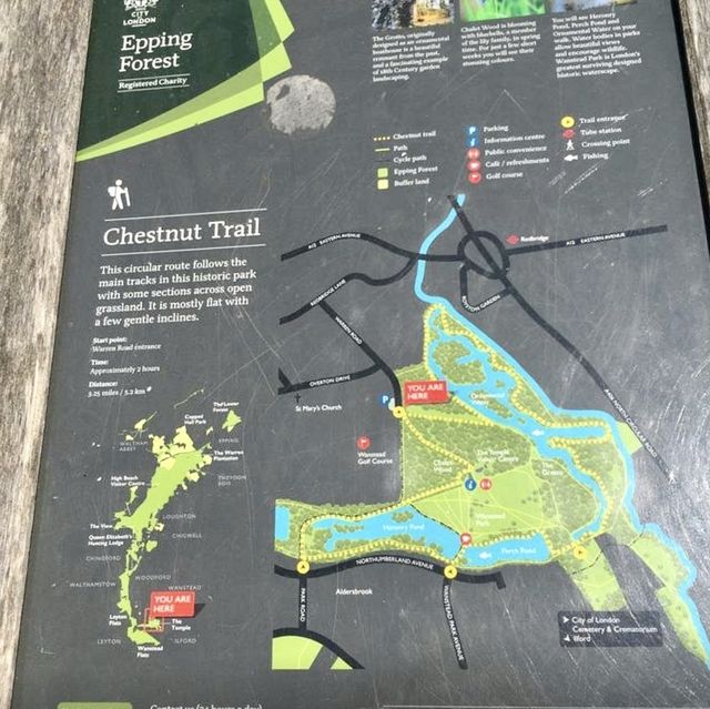 Epping Forest - London