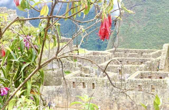 World Business Card Collection Project: Machu Picchu, Exploring the Lost City of the Inca Empire.