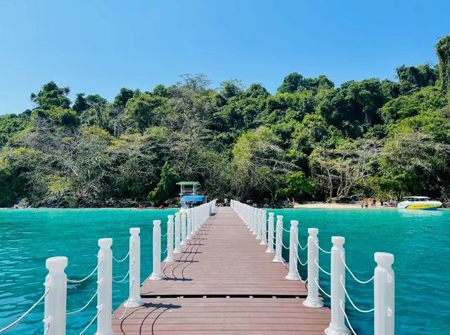 Thai Elephant Island, experience bathing baby elephants.