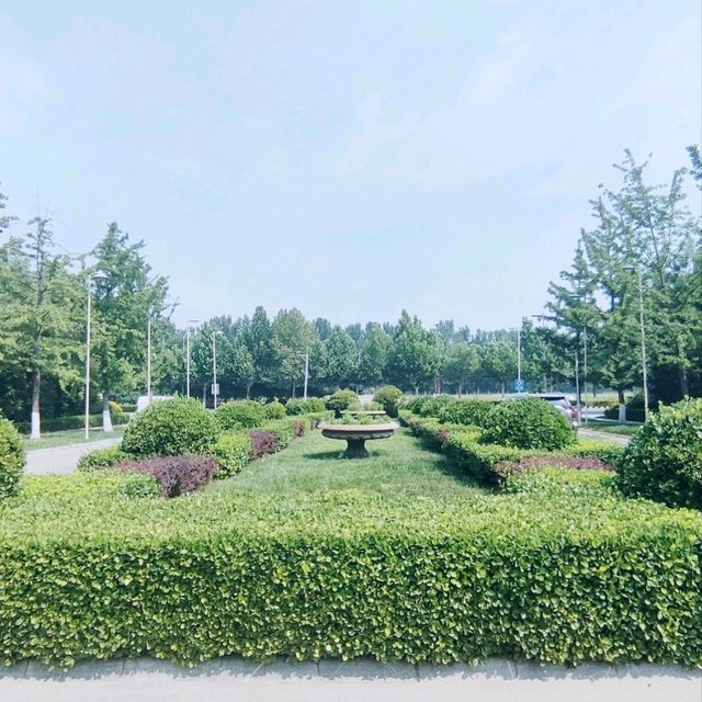 Sheraton, Surrounded by Nature