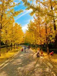 貴陽觀山湖公園打卡拍照太有氛圍感了