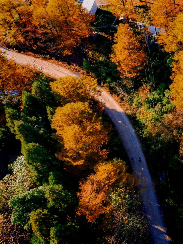 This is not in Arxan, this is the ceiling of the hiking route in Zhejiang