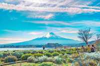 富士山下五大人氣景點！