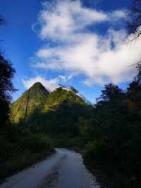 芦山的大深山裡的彩林秘境：大川河