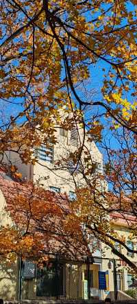 青島八大關異國建築群在色彩斑斕的閃爍下更加奪目迷人