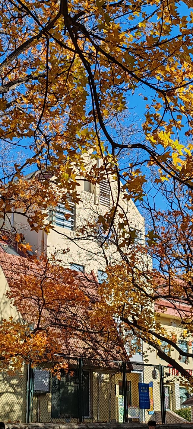 青島八大關異國建築群在色彩斑斕的閃爍下更加奪目迷人 青島八大關異國建築群在色彩斑斕的閃爍下更加奪目迷人