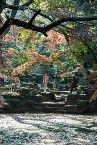 十二月走進油畫常熟｜被上帝打翻調色盤的虞山公園