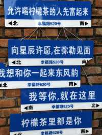 “東風韻”重在韻，果然是韻味十足-之二