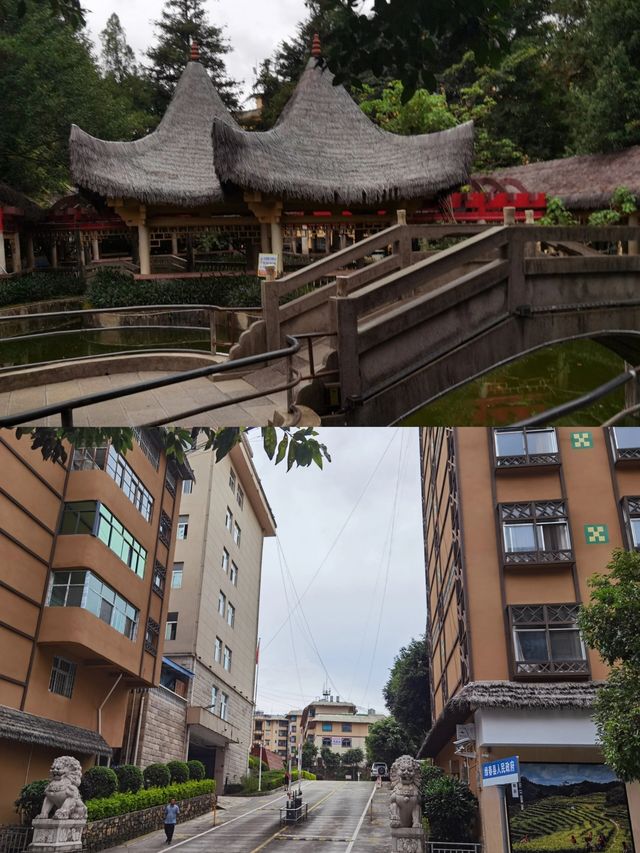 有一種山頂生活叫  綠春