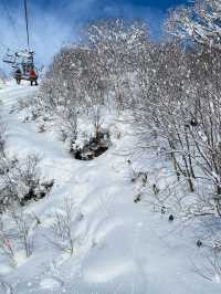 粉雪天堂比羅夫滑雪場