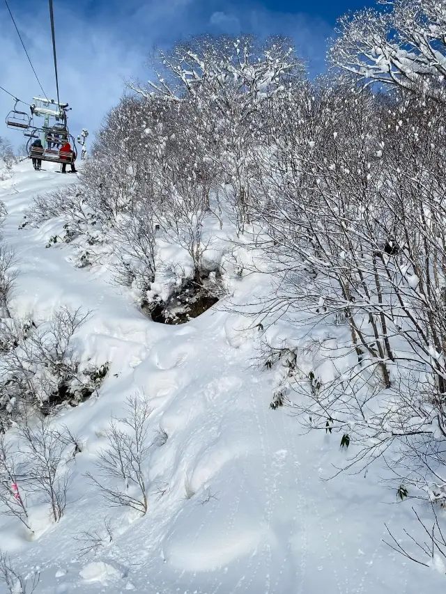 粉雪天堂比罗夫滑雪場