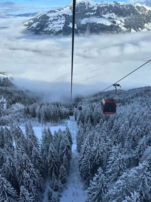 "A feast of snow-colored temptation" - Kitzbühel