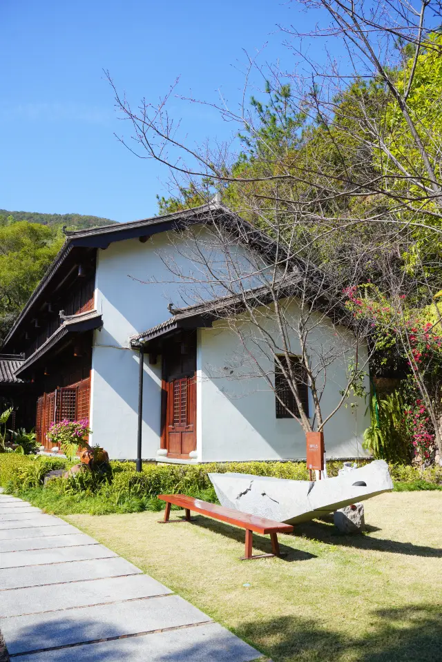 Quanzhou Travel | Experience the hairpin flower, enjoy the leisure of slow time