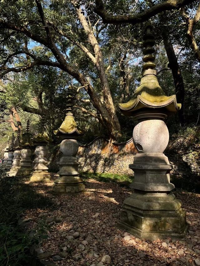 「元旦祈福」登浙東名山天台山|訪隋代古剎國清寺