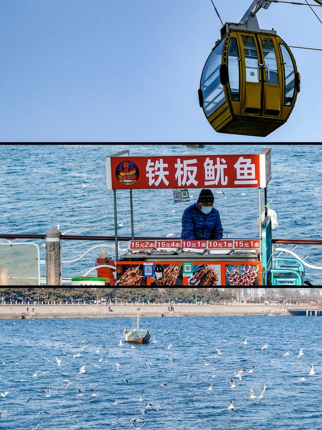怎麼沒人告訴我這裡也可以看海鷗啊！