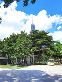 磨碟沙公園||可以欣賞廣州塔的體育公園