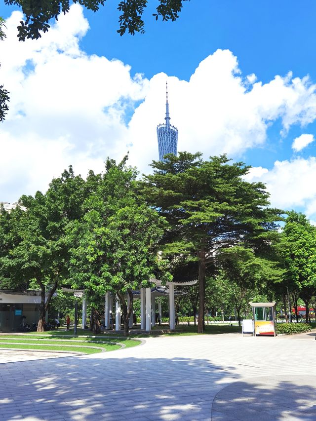 磨碟沙公園||可以欣賞廣州塔的體育公園