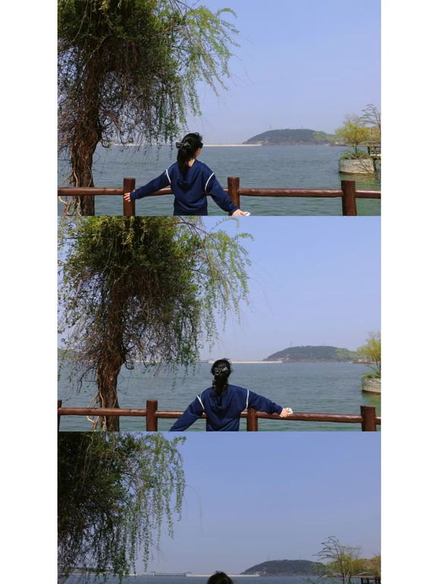 踏青|春遊|舞鋼二郎山可以衝!