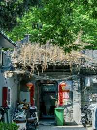 來北京一起吹吹什剎海的風吧