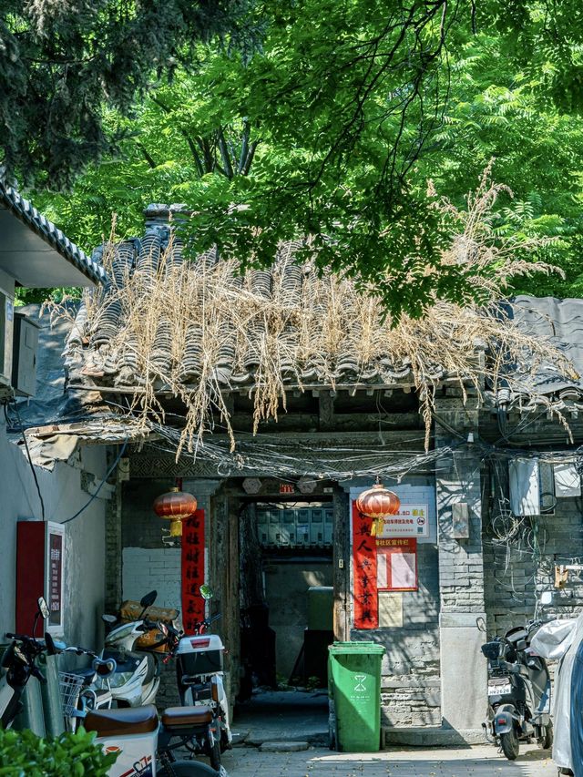 來北京一起吹吹什剎海的風吧