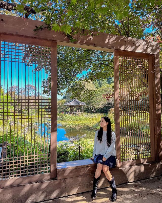 요정 살고 있는거 아냐..? 현 시각 제일 예쁜 아침고요수목원🧚🏻‍♀️♥️