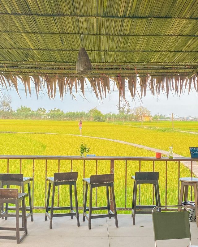 호이안 하루 일정 중 다녀왔던 카페 🍃
시원하게 펼쳐진 논밭뷰에 베트남 현지인들 사이에서도 핫플 ✨