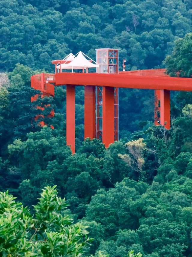 虹橋公園的遊玩攻略