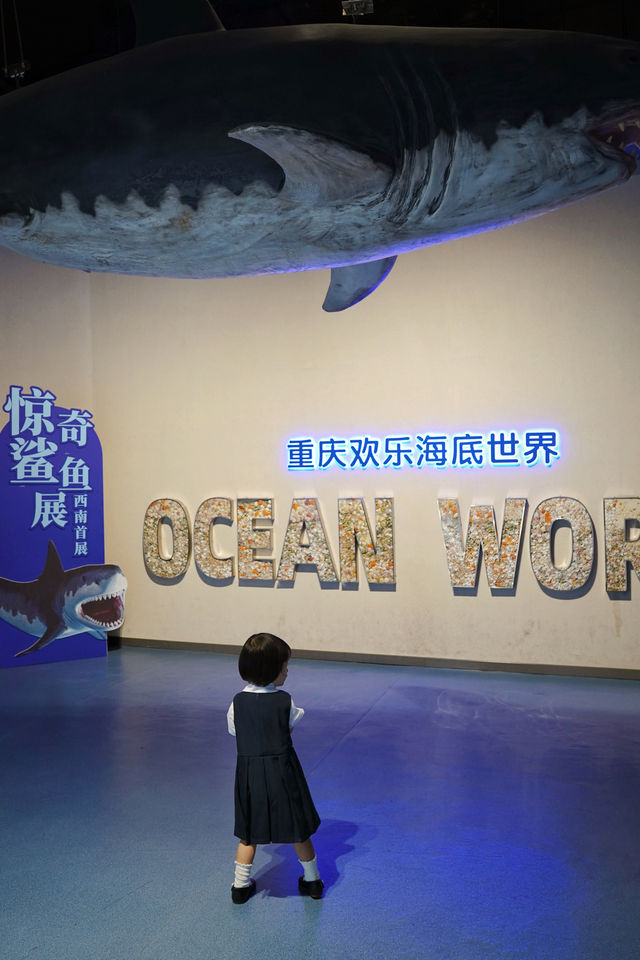 驚奇鯊魚展西南首展|給女兒拍到人生照片