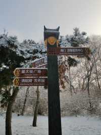 北陵公園｜沈陽人都不知道的冬天好去處！