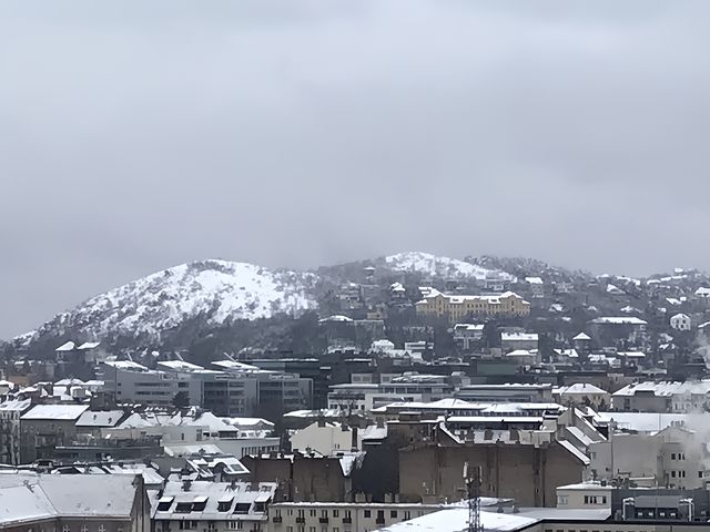 布達城堡在雪中