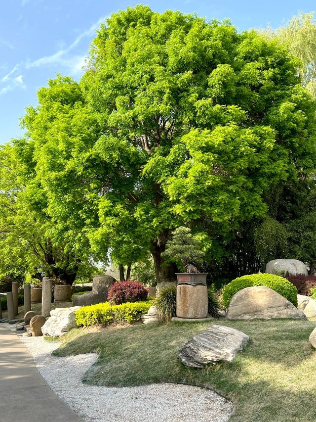 陝西西安唐苑新中式打卡地園林公園