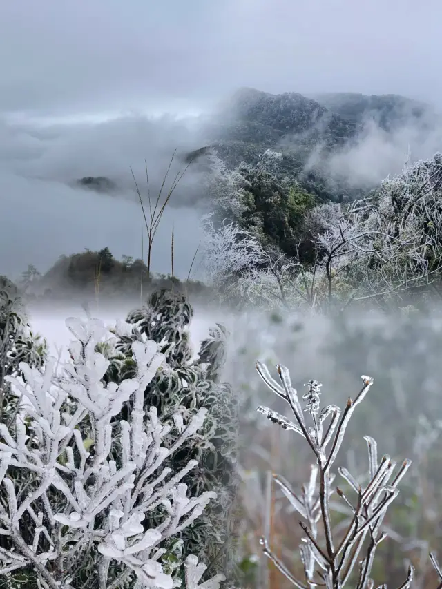 大明山的雲海霧凇，美如仙境