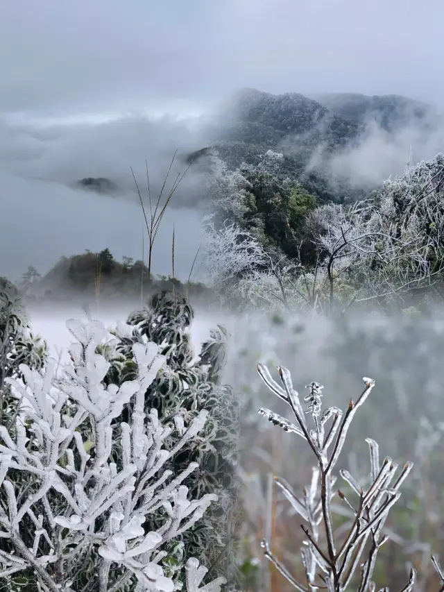 The sea of clouds and rime on Daming Mountain is as beautiful as a fairyland