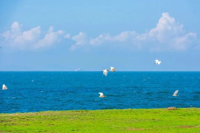 來珠海，沉浸式過冬！