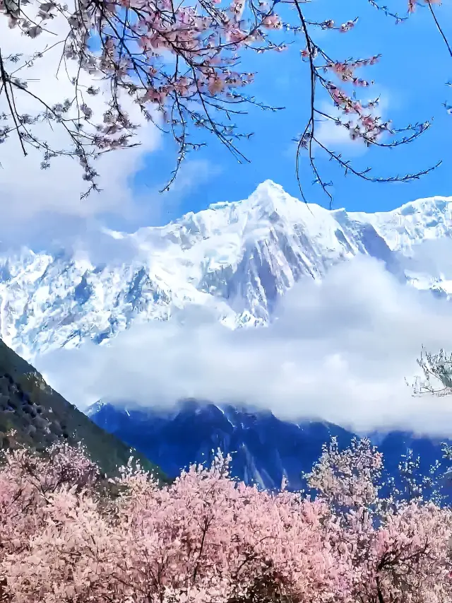 Spring Tibet travel guide, Nyingchi Peach Blossom Festival - the ceiling of a romantic trip