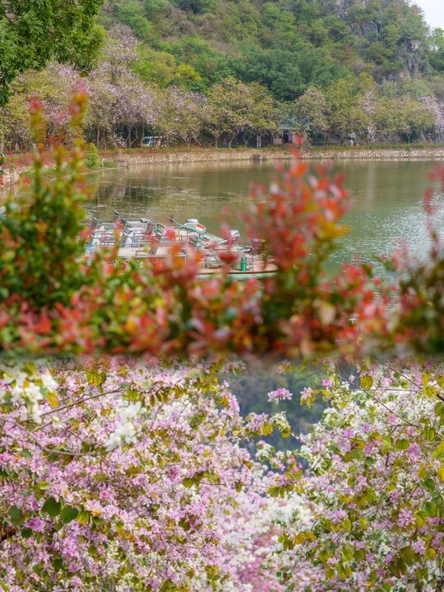 肇慶七星岩廣東版·小桂林